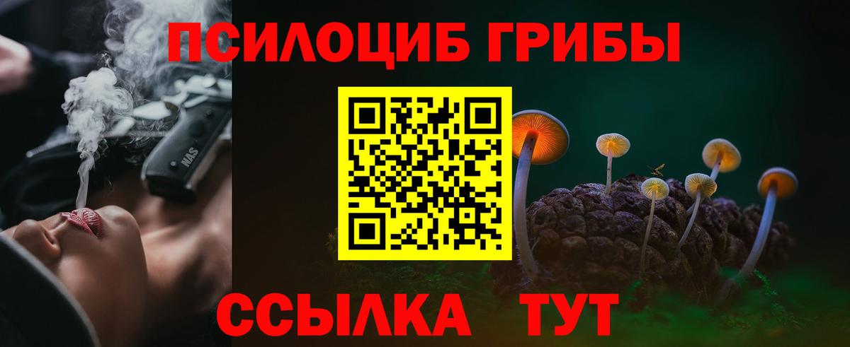 Псилоцибиновые грибы Cubensis Стерлитамак